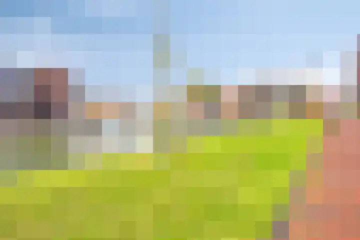 Schoener 4 Spijkenisse thumbnail 42