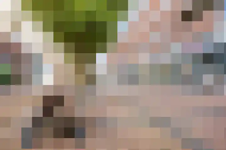 Schoener 4 Spijkenisse thumbnail 48