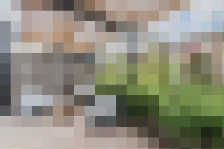 Schoener 43 43 45 Lelystad thumbnail 50