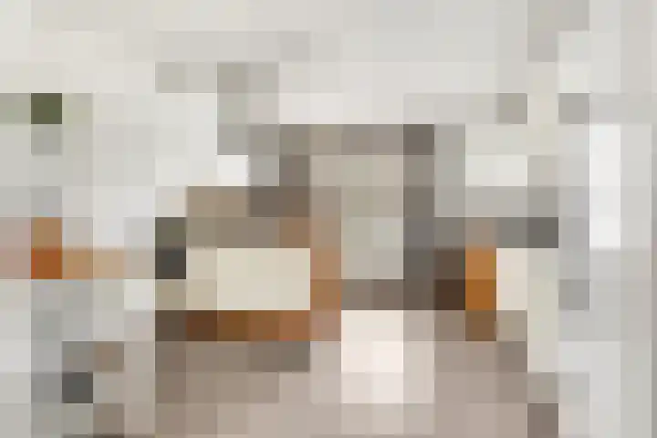 Schoener 6 Nijkerk thumbnail 15