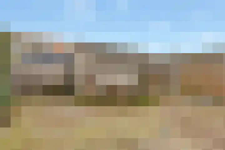 Schoener 6 Nijkerk thumbnail 24