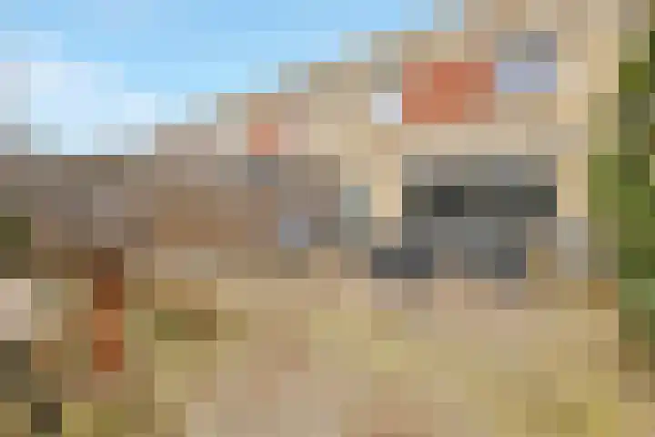 Schoener 6 Nijkerk thumbnail 25