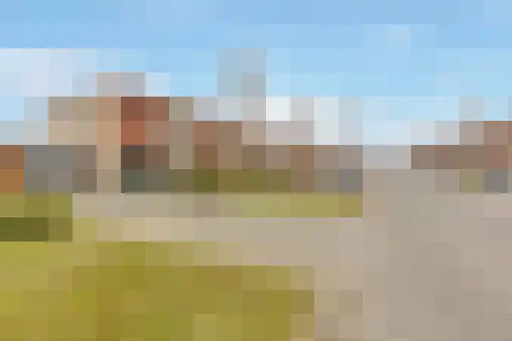 Schoener 6 Nijkerk thumbnail 27