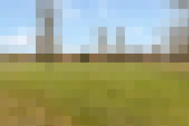Schoener 6 Nijkerk thumbnail 29