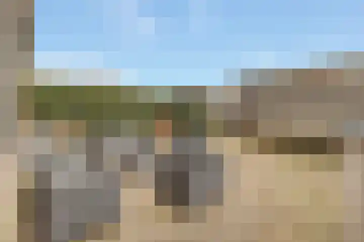 Schoener 6 Nijkerk thumbnail 4