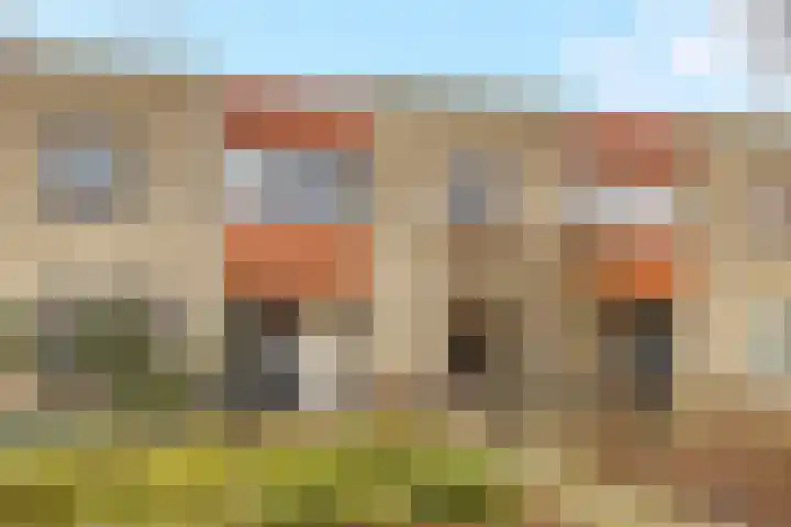 Schoener 6 Nijkerk thumbnail 6