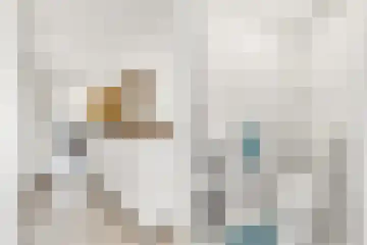 Schoener 6 Nijkerk thumbnail 9