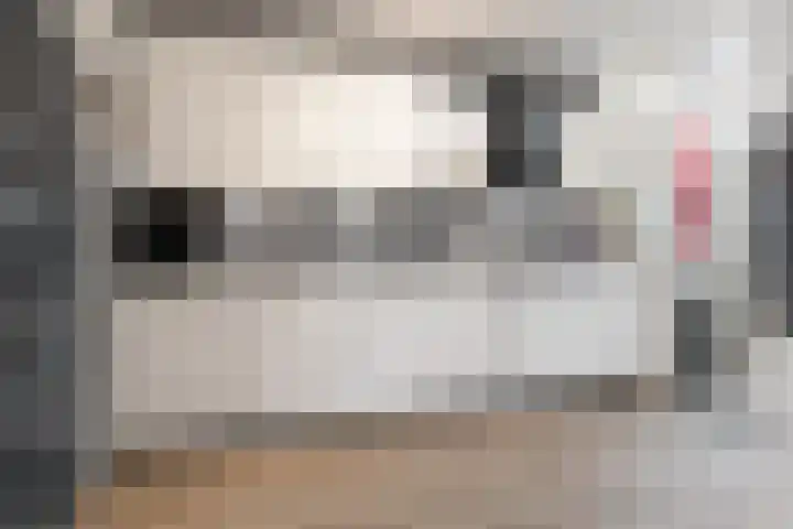 Schoener 6 Wieringerwerf thumbnail 11