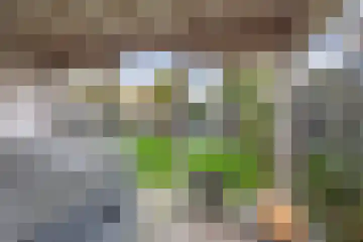 Schoener 6 Wieringerwerf thumbnail 20