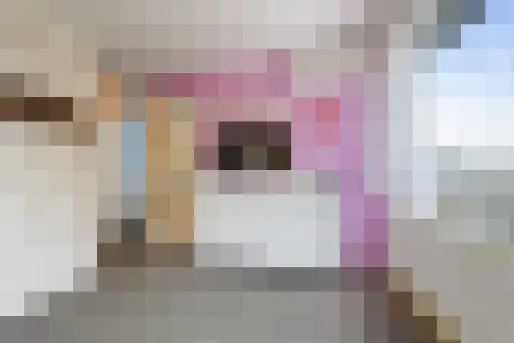 Schoener 6 Wieringerwerf thumbnail 27