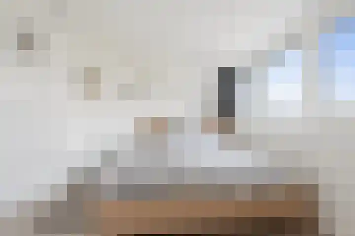Schoener 6 Wieringerwerf thumbnail 35