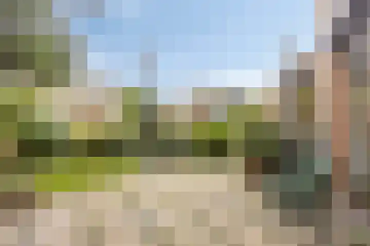 Schoener 63 Barendrecht thumbnail 47