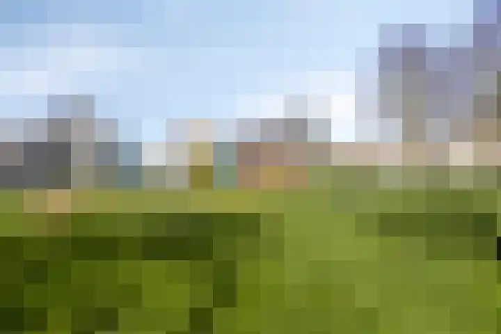 Schoener 63 Volendam thumbnail 32