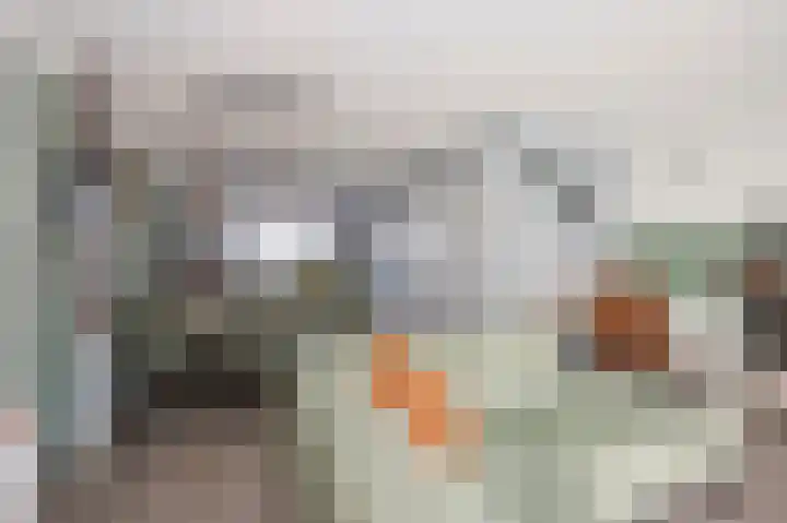 Schoenerwerf 27 Terneuzen thumbnail 5