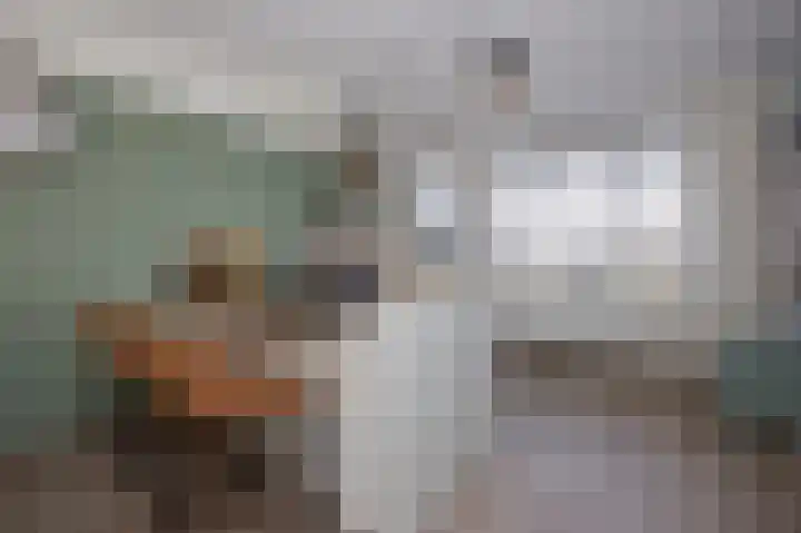 Schoenerwerf 27 Terneuzen thumbnail 8