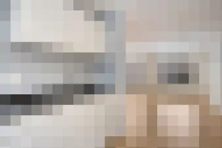 Schoenmaker 2 Dongen thumbnail 11