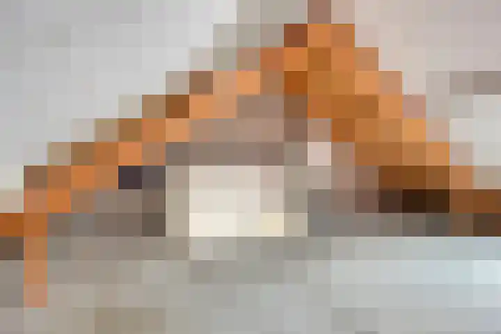 Schoenmaker 2 Dongen thumbnail 23