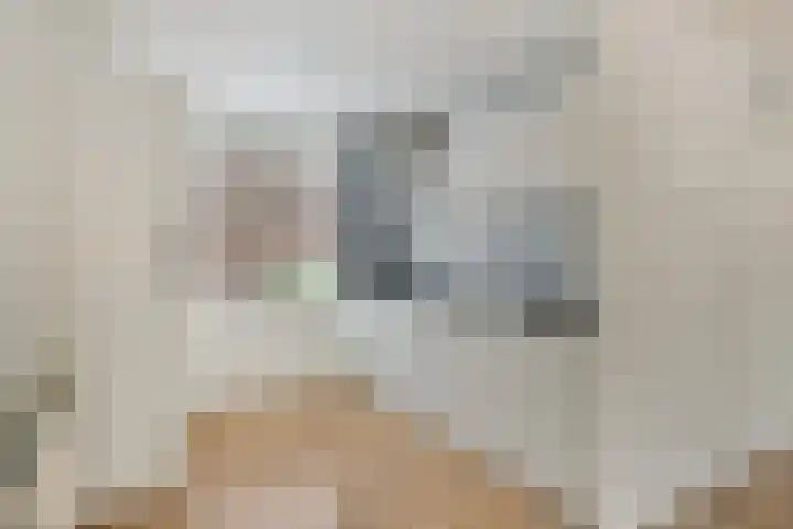 Schoenmaker 2 Dongen foto 3