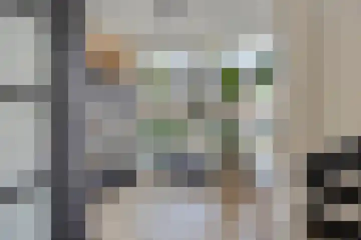 Schokkencamp 2 Zevenaar thumbnail 20
