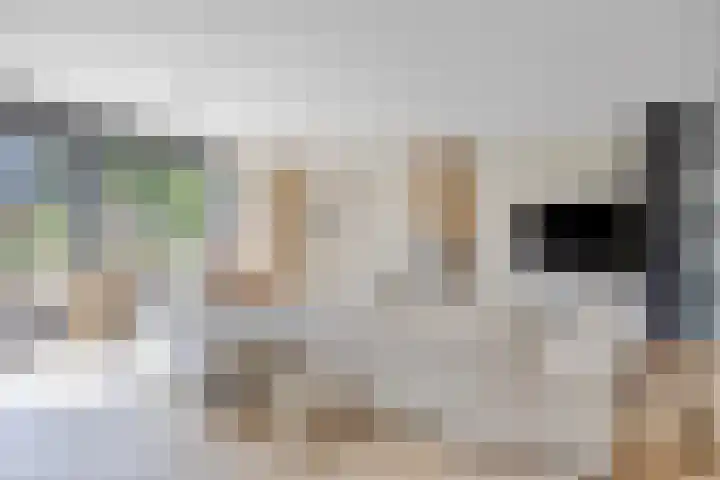 Schokkencamp 2 Zevenaar thumbnail 23