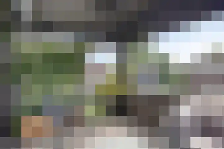 Schokkencamp 2 Zevenaar thumbnail 43