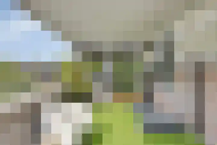 Schokkencamp 2 Zevenaar thumbnail 45