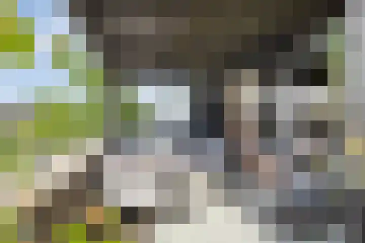 Schokkencamp 2 Zevenaar thumbnail 46