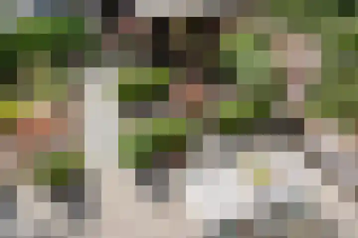 Schokkencamp 2 Zevenaar thumbnail 47