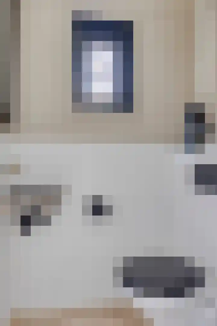 Schokkencamp 2 Zevenaar thumbnail 5