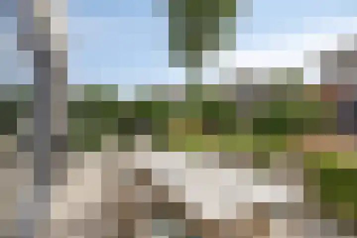 Schokkencamp 2 Zevenaar thumbnail 53