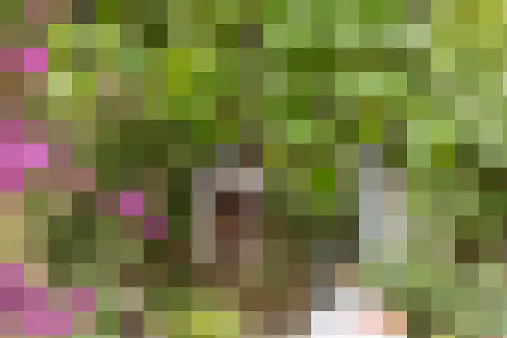 Schokkencamp 2 Zevenaar thumbnail 56