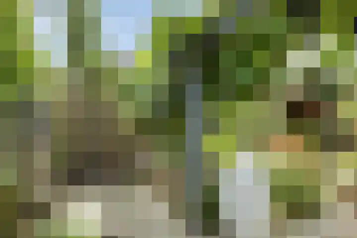 Schokkencamp 2 Zevenaar thumbnail 58