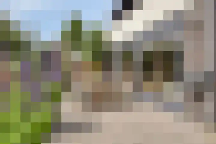 Schokkencamp 2 Zevenaar thumbnail 59