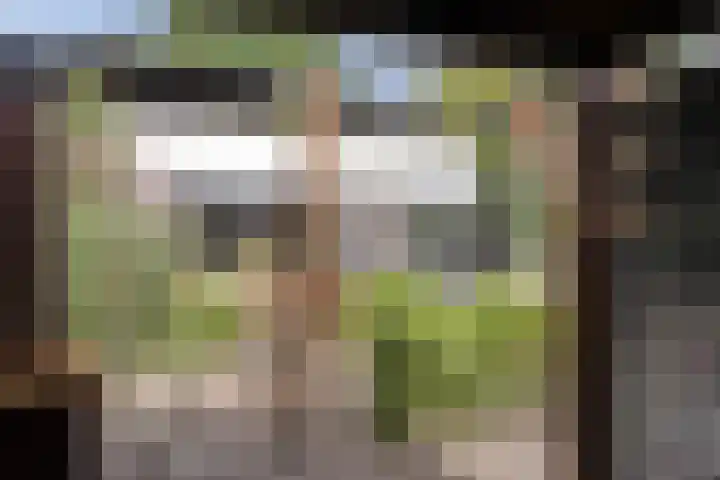 Schokkencamp 2 Zevenaar thumbnail 61
