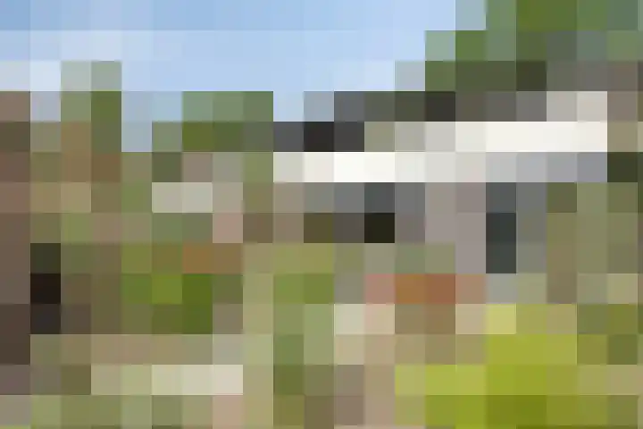 Schokkencamp 2 Zevenaar thumbnail 63