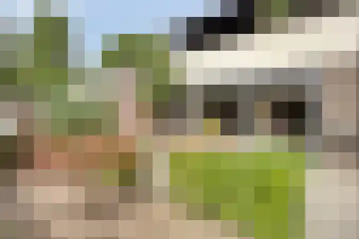 Schokkencamp 2 Zevenaar thumbnail 65