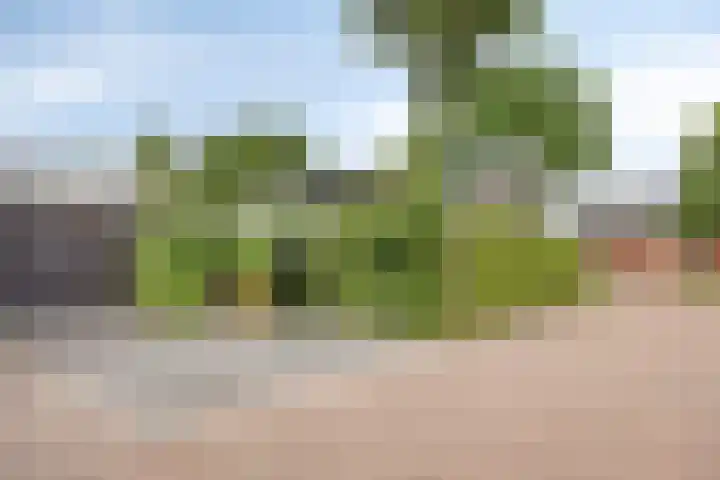 Schokkencamp 2 Zevenaar thumbnail 66