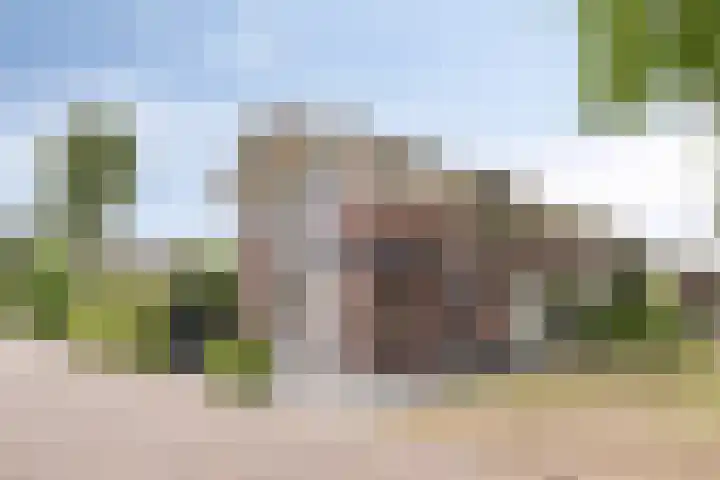 Schokkencamp 2 Zevenaar thumbnail 72