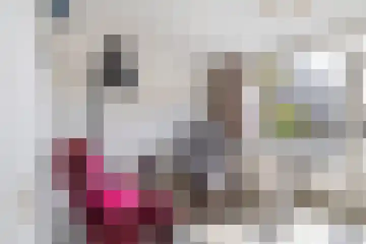 Schokker 16 Brielle thumbnail 10