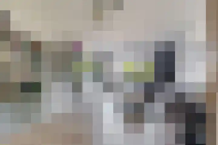 Schokker 16 Brielle thumbnail 17