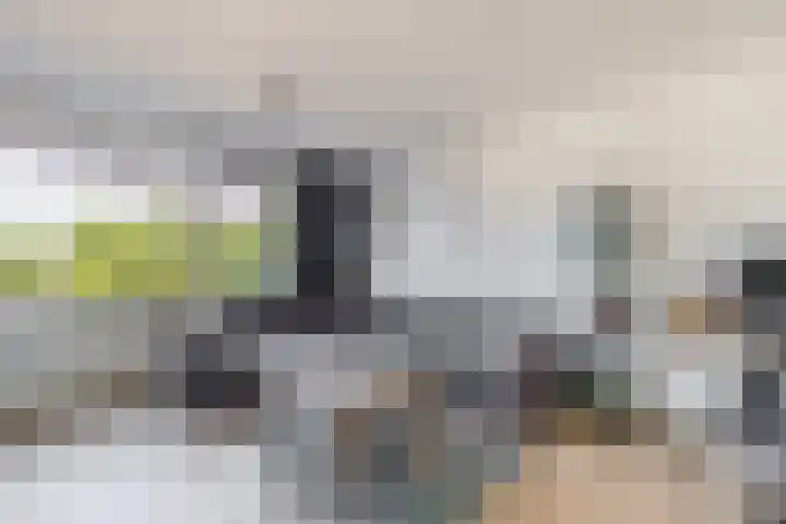 Schokker 16 Brielle thumbnail 19