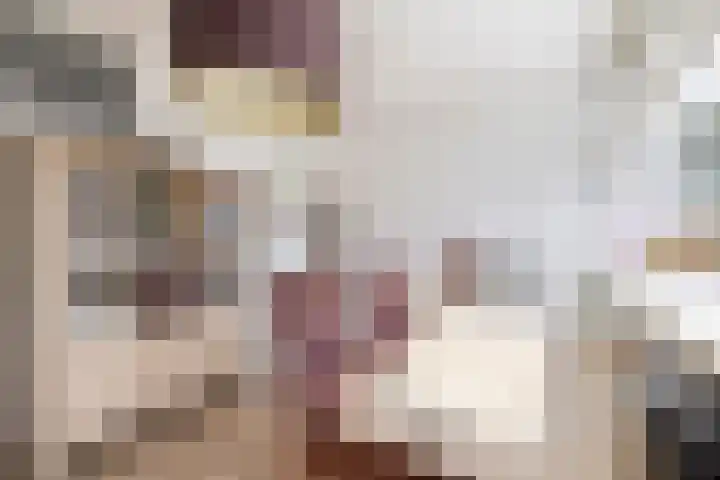 Schokker 16 Brielle thumbnail 24
