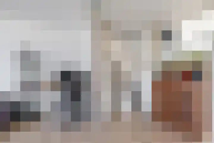 Schokker 16 Brielle thumbnail 28
