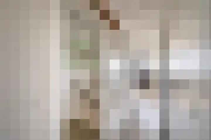 Schokker 16 Brielle thumbnail 30