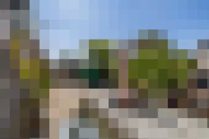 Schokker 16 Brielle thumbnail 41