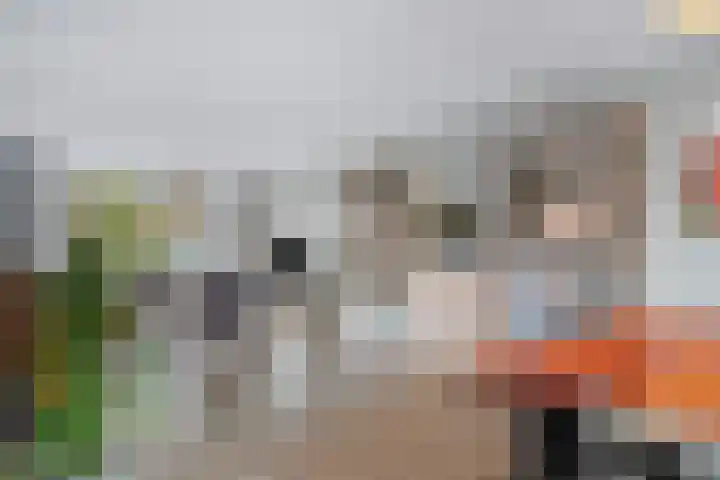 Schokker 32 Zeewolde thumbnail 12