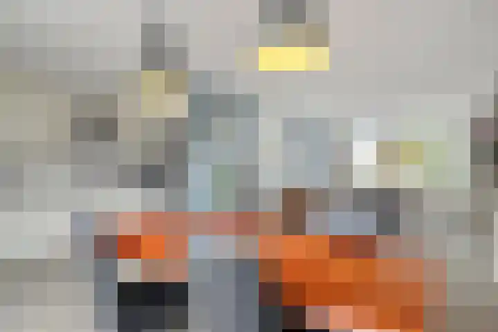 Schokker 32 Zeewolde thumbnail 13
