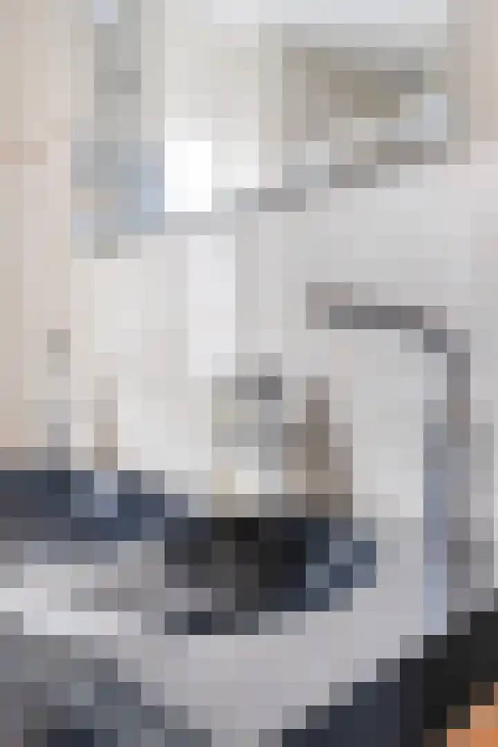 Schokker 32 Zeewolde thumbnail 23