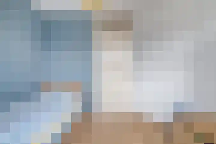 Schokker 32 Zeewolde thumbnail 27