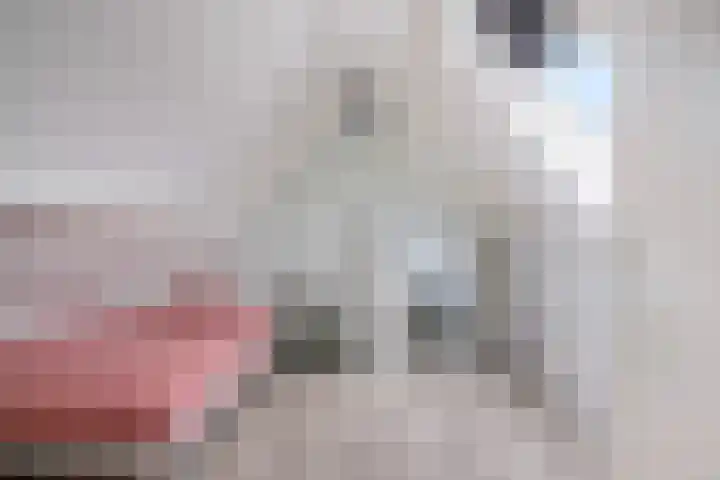 Schokker 32 Zeewolde thumbnail 29